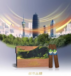 泰山都市丛林